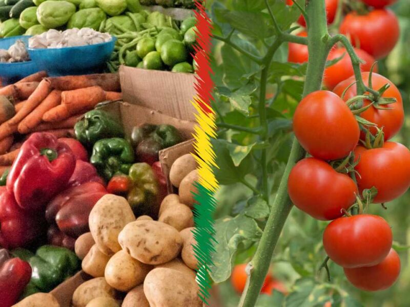 ¿Por qué suben los precios en la canasta familiar en Bolivia? El INE identifica tres factores